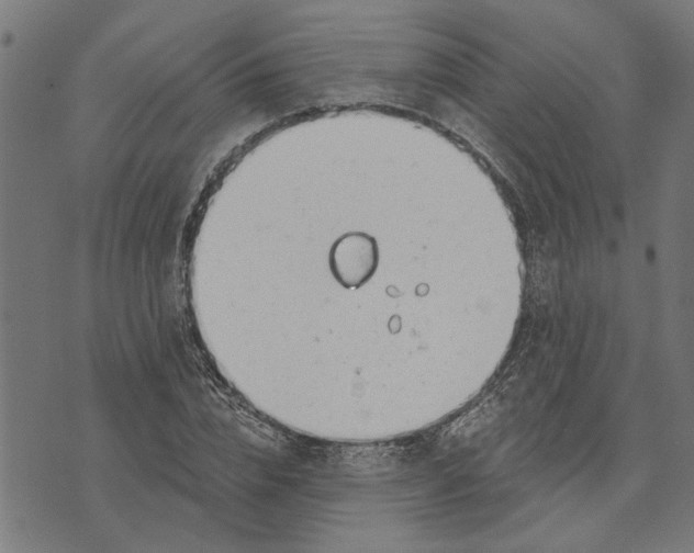 X0000073520832200608211802