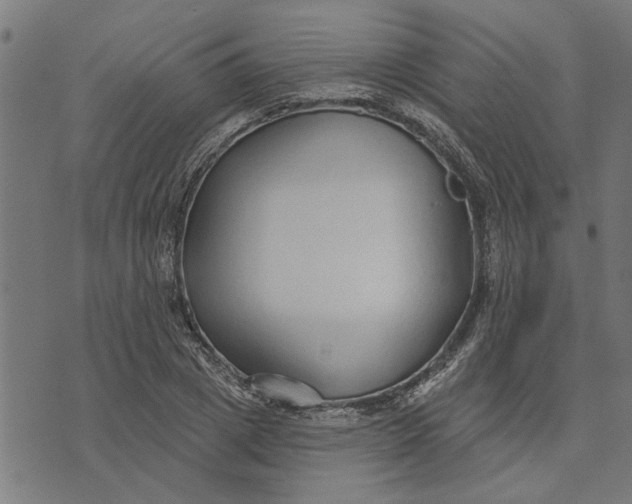 X0000073520833200608211802