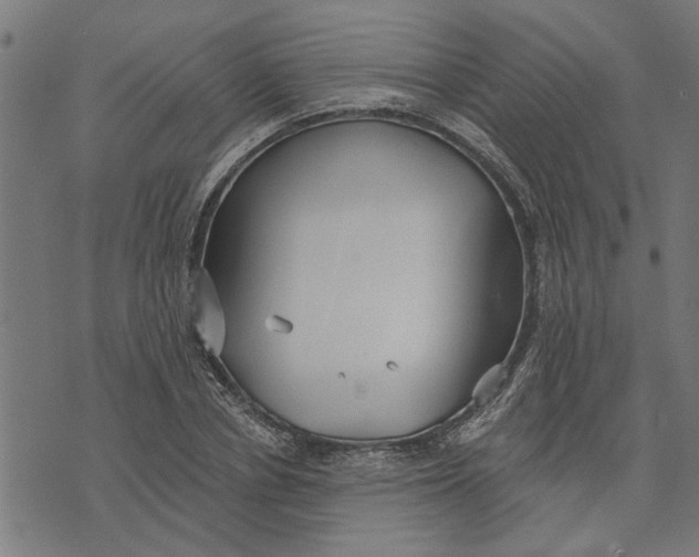 X0000073520834200608211802