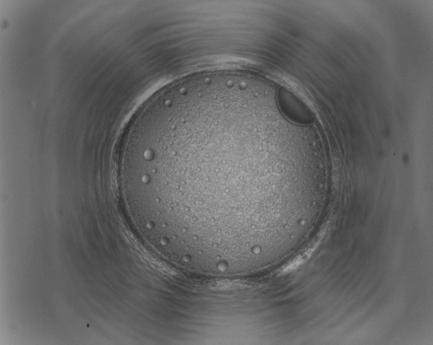 X0000073520835200608211802