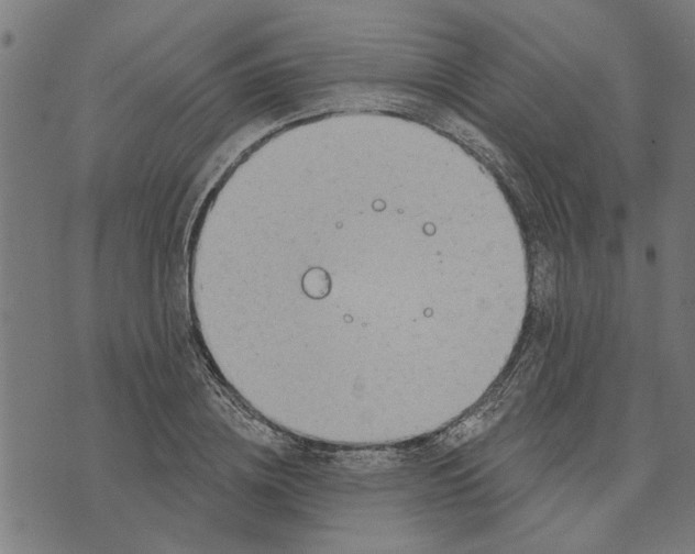 X0000073520836200608211802