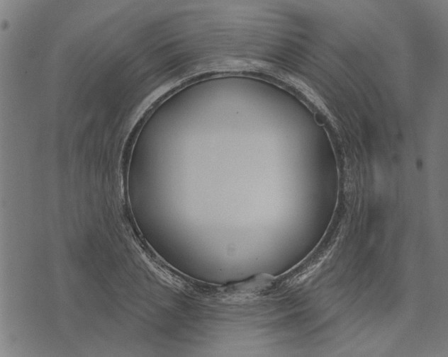 X0000073520837200608211802