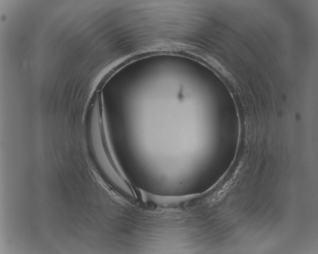 X0000073520838200608211802