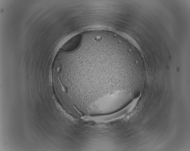 X0000073520839200608211802