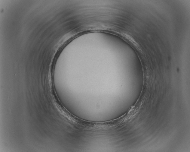 X0000073520840200608211802