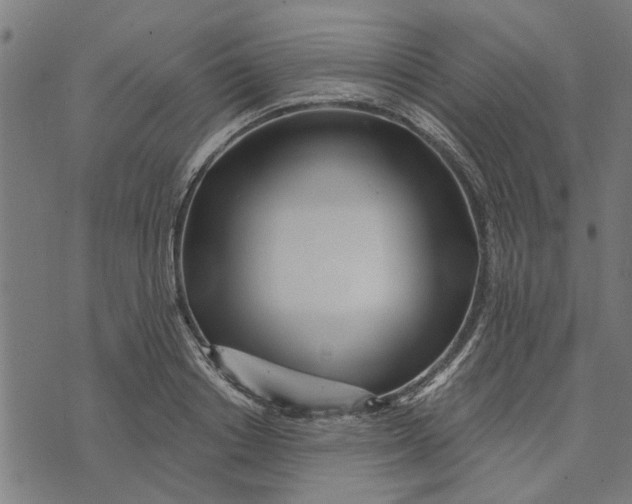 X0000073520842200608211802