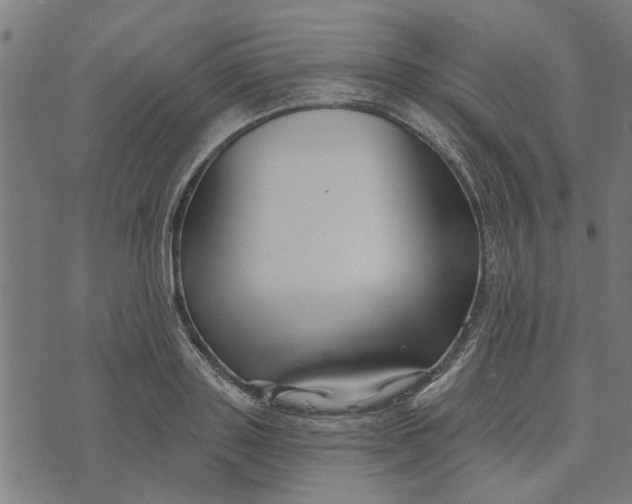 X0000073520843200608211802