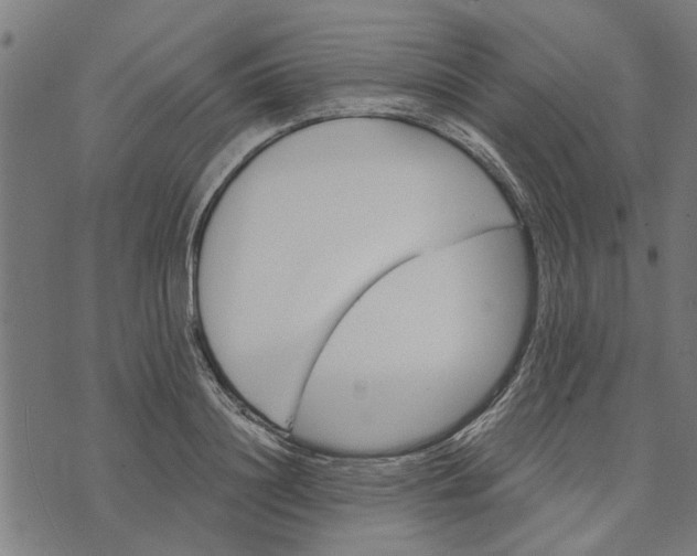 X0000073520844200608211802