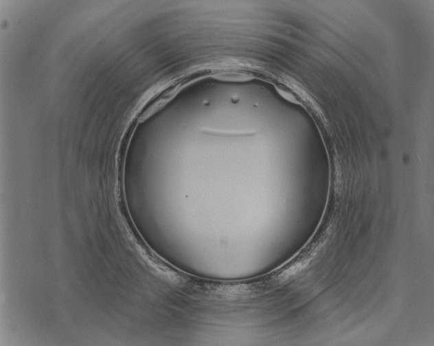 X0000073520845200608211802