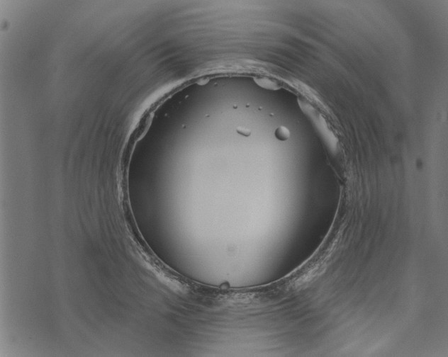 X0000073520846200608211803