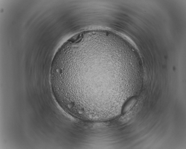 X0000073520847200608211803