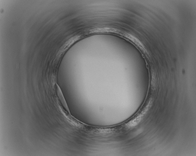 X0000073520849200608211803