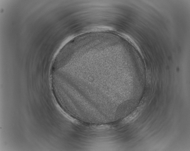 X0000073520851200608211803