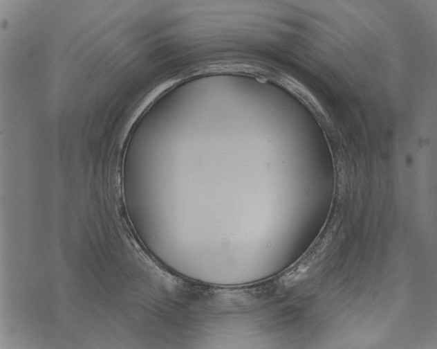 X0000073520852200608211803