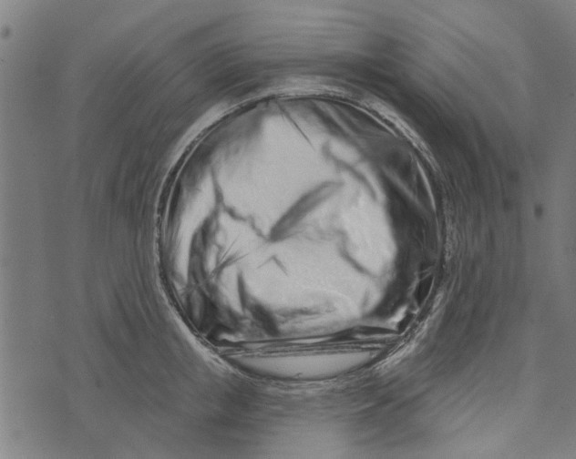 X0000073520853200608211803