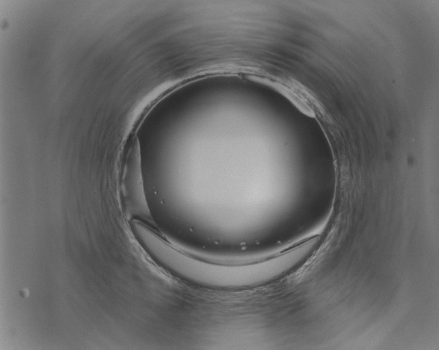 X0000073520854200608211803