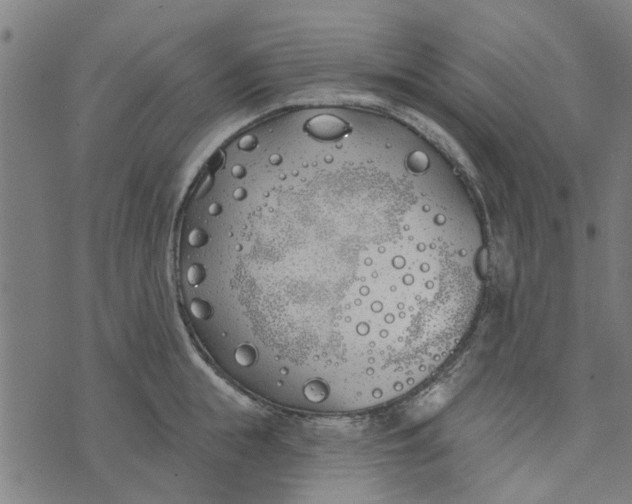 X0000073520855200608211803