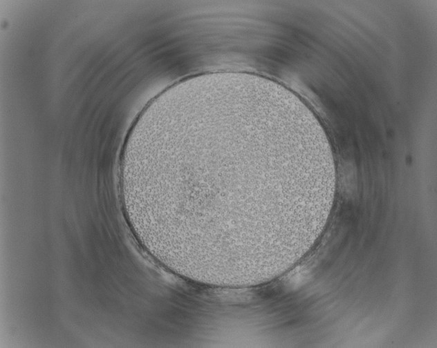 X0000073520856200608211803