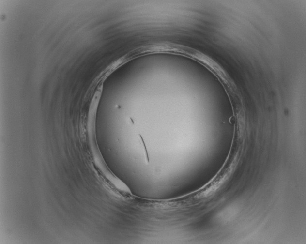 X0000073520857200608211803