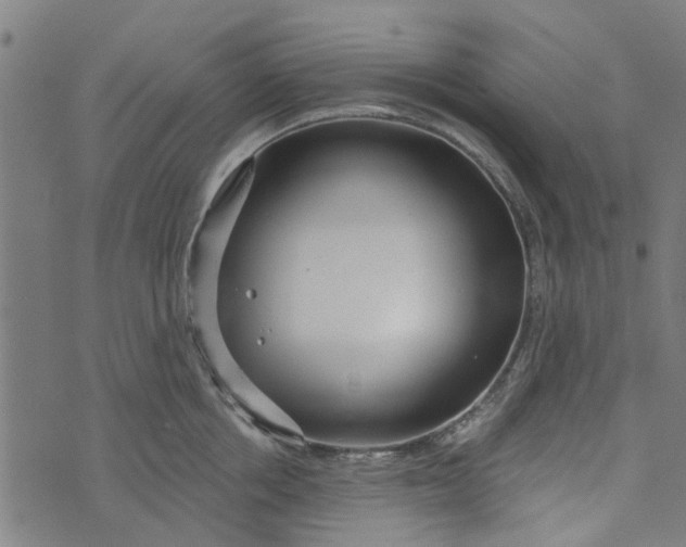 X0000073520858200608211803