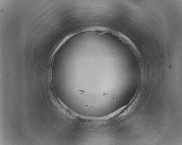 X0000073520860200608211803