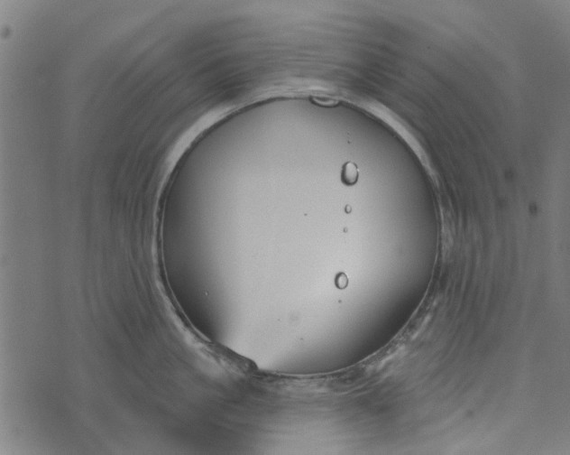 X0000073520861200608211803