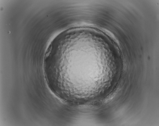 X0000073520863200608211803