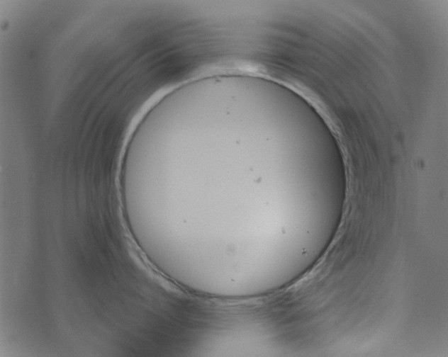 X0000073520864200608211803