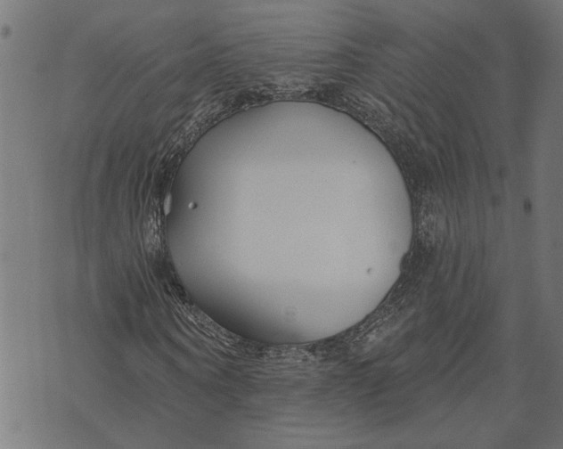 X0000073520866200608211802