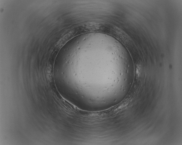 X0000073520867200608211802