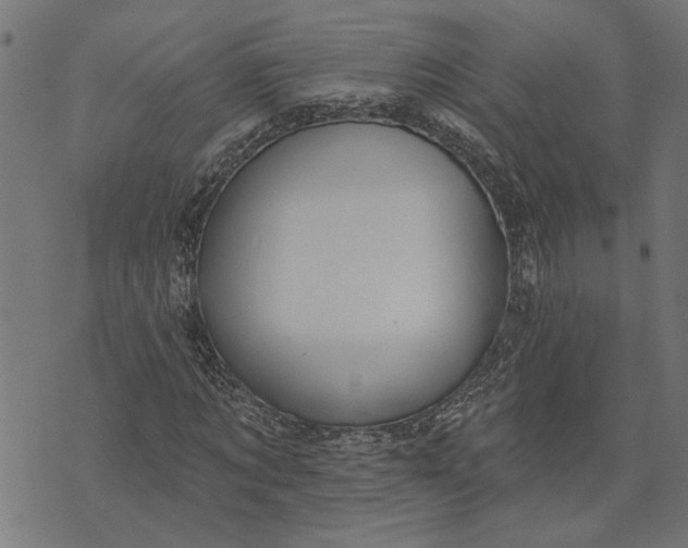 X0000073520869200608211802