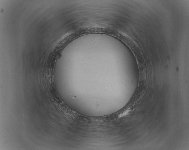 X0000073520870200608211802