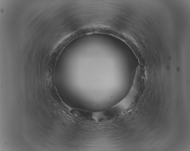 X0000073520872200608211802