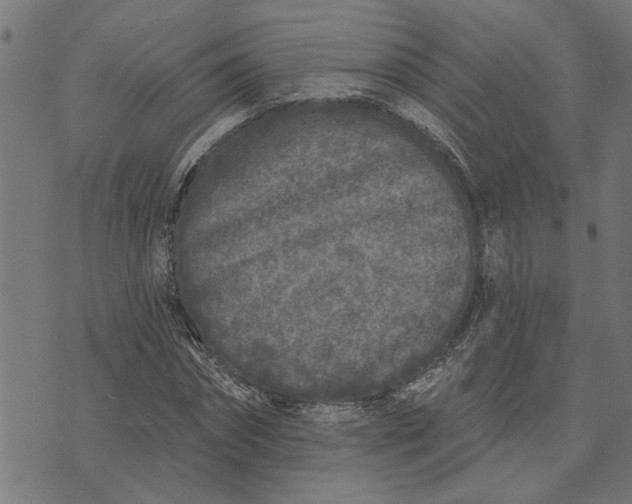 X0000073520874200608211802