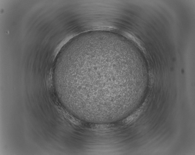 X0000073520875200608211802