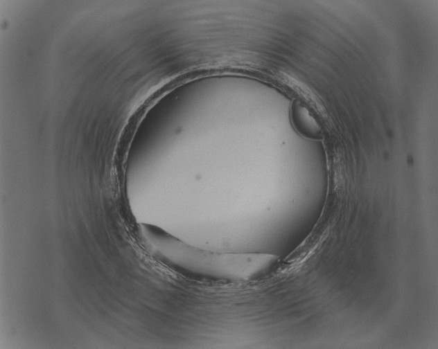 X0000073520876200608211802