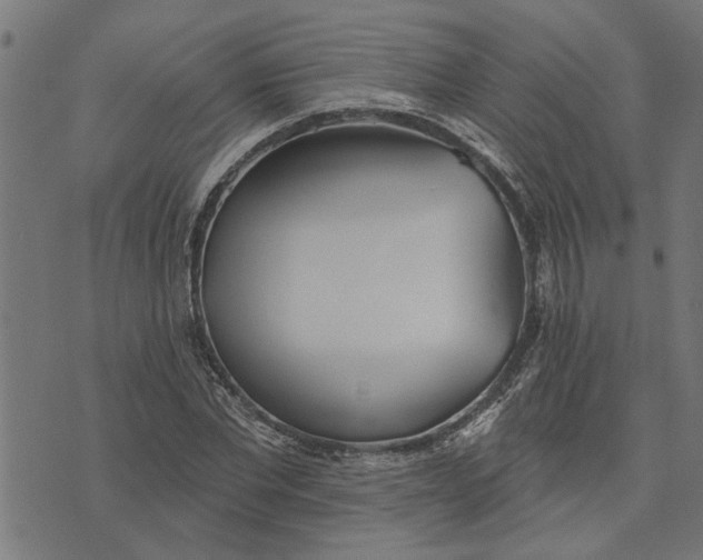 X0000073520877200608211802