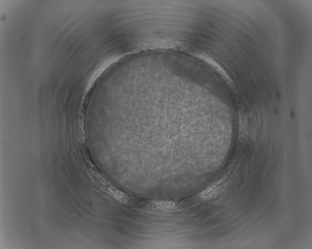 X0000073520878200608211802