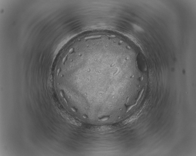 X0000073520879200608211802