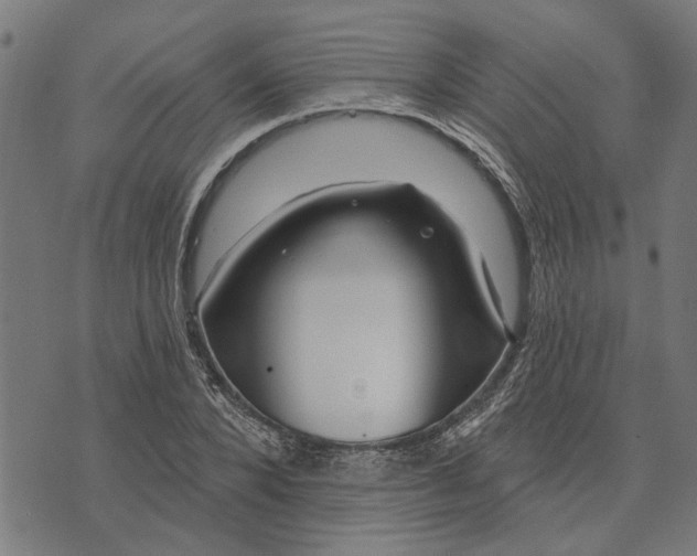 X0000073520880200608211802