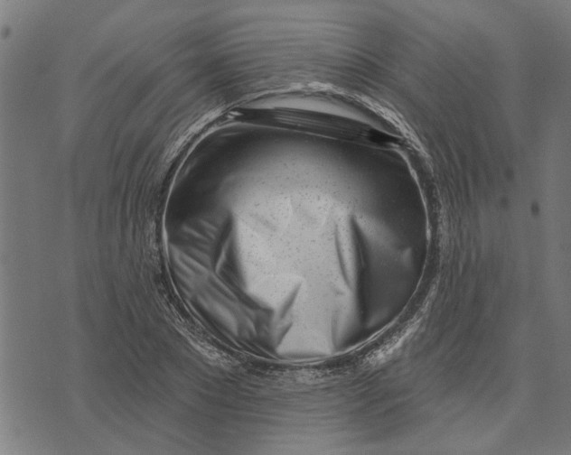 X0000073520881200608211802