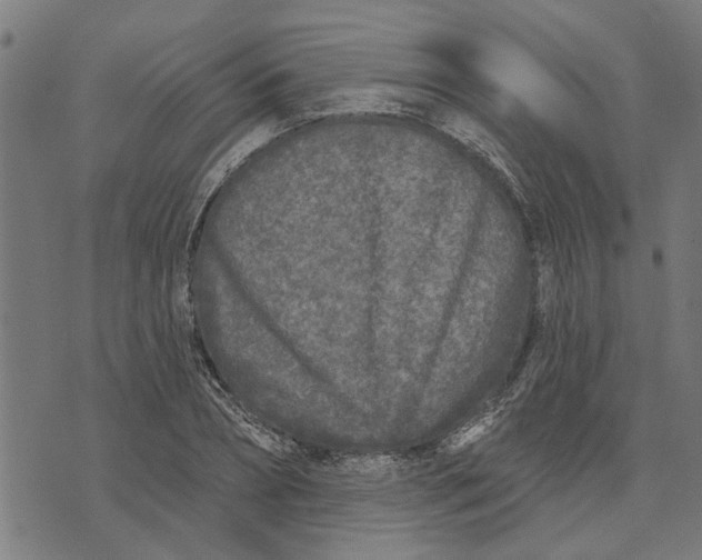 X0000073520882200608211802