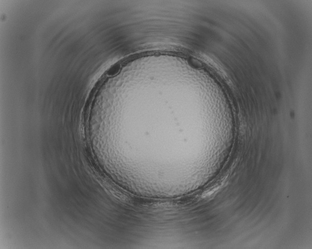 X0000073520883200608211802