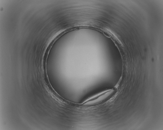 X0000073520884200608211802