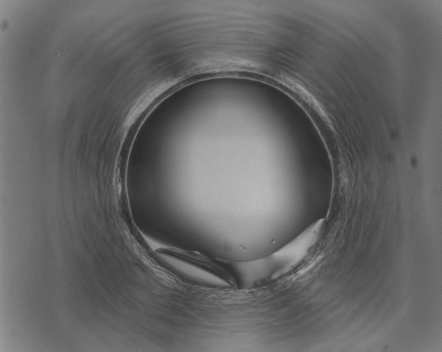 X0000073520885200608211802