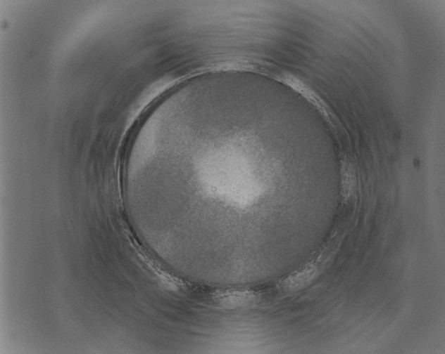 X0000073520886200608211802