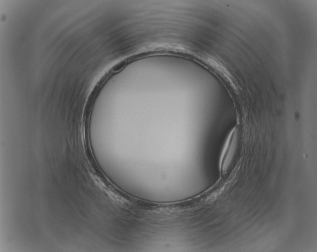 X0000073520888200608211802