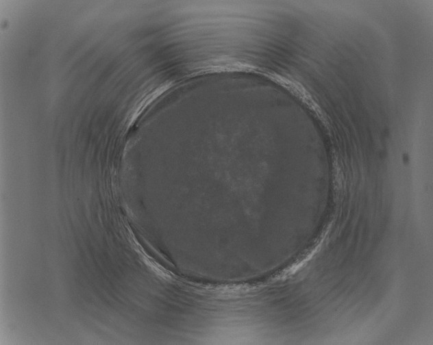 X0000073520889200608211802