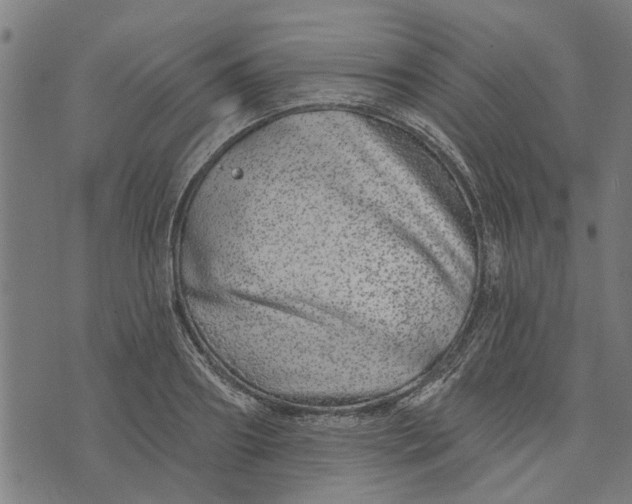 X0000073520890200608211802