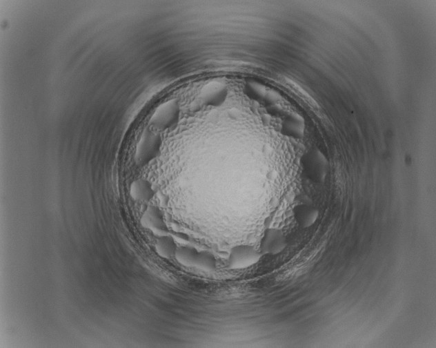 X0000073520891200608211802